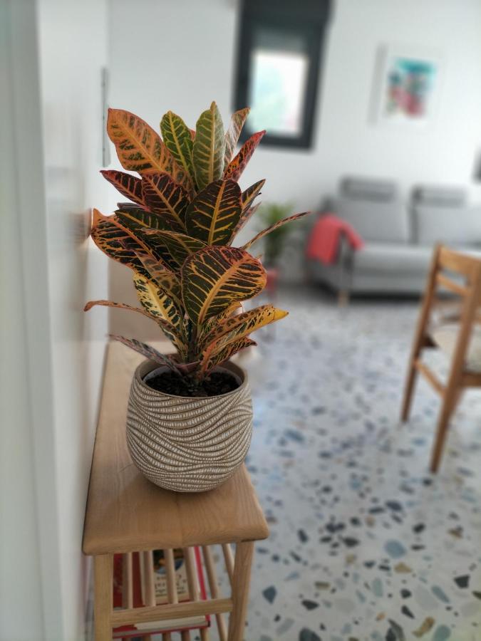 Apartmán Casa Dos Minos Bruno Cangas do Morrazo Exteriér fotografie